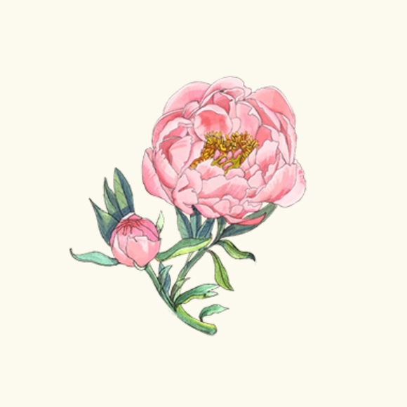 Meet your Posher, Nikki - Picture 1 of 1